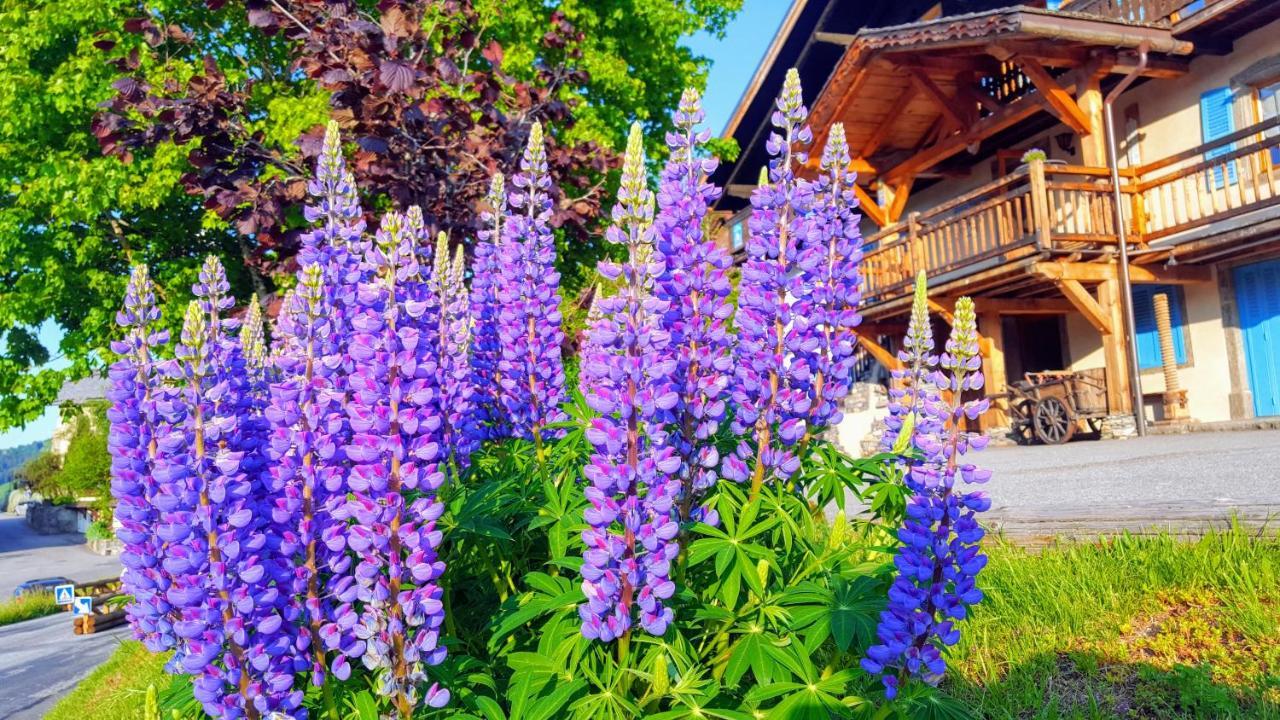 ホテルChalet La Source Saint-Nicolas-la-Chapelle  エクステリア 写真